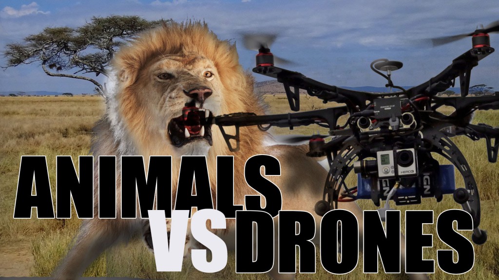 動物VSドローン